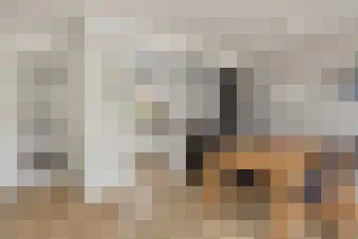 Vlierhof 56 Dieren thumbnail 11