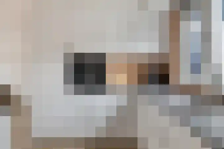 Vlierhof 56 Dieren thumbnail 14