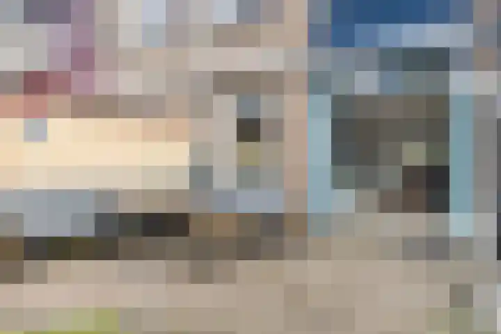 Vlierhof 56 Dieren thumbnail 30