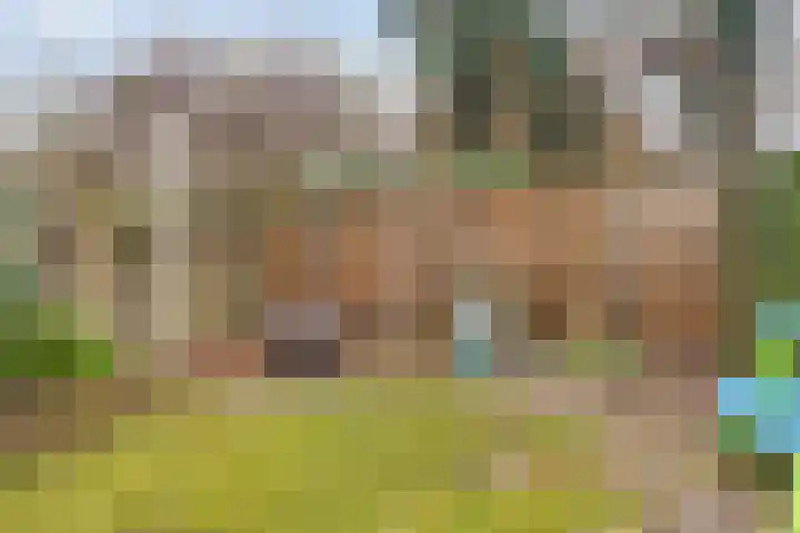 Vlierhof 56 Dieren thumbnail 33