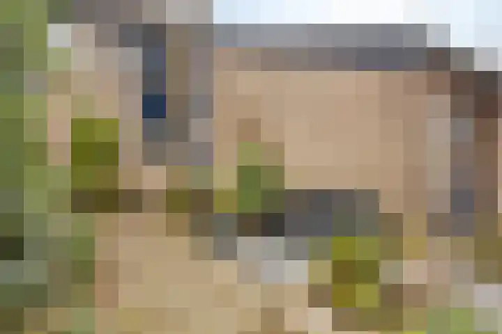 Vlierhof 56 Dieren thumbnail 34