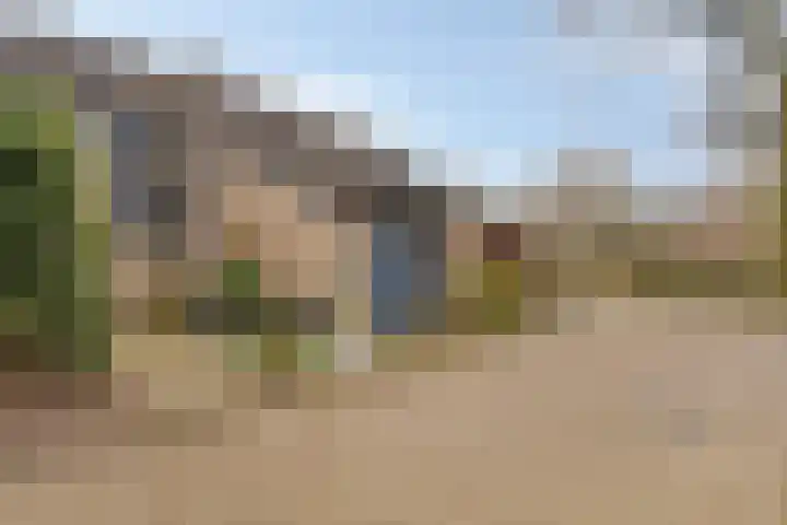 Vlierhof 56 Dieren thumbnail 38