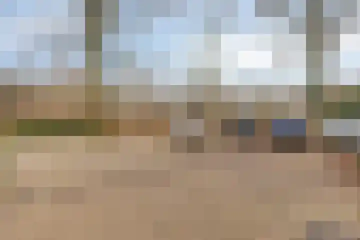 Vlierhof 56 Dieren thumbnail 39