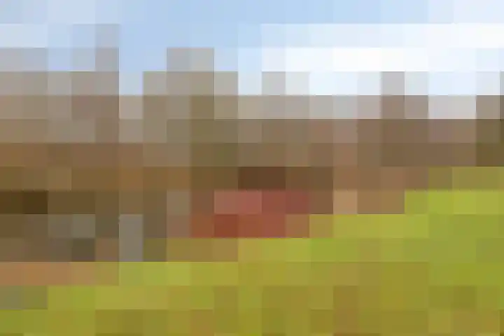 Vlierhof 56 Dieren thumbnail 40