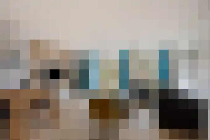 Vlierhof 56 Dieren thumbnail 7