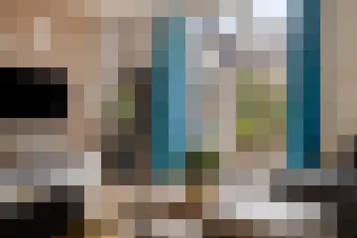 Vlierhof 56 Dieren thumbnail 8