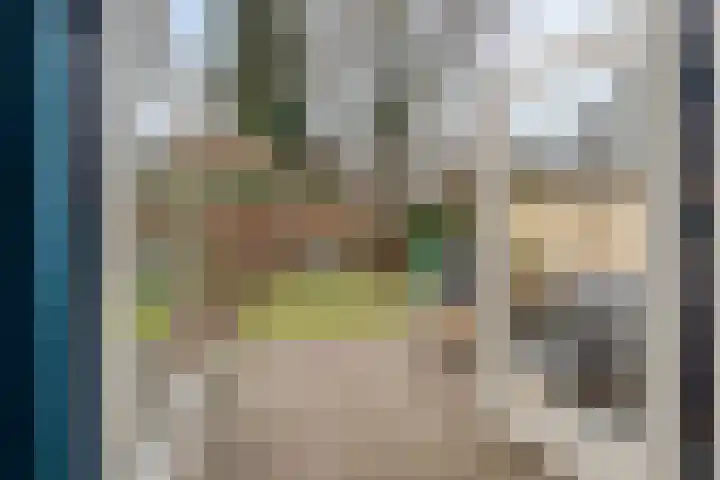 Vlierhof 56 Dieren thumbnail 9