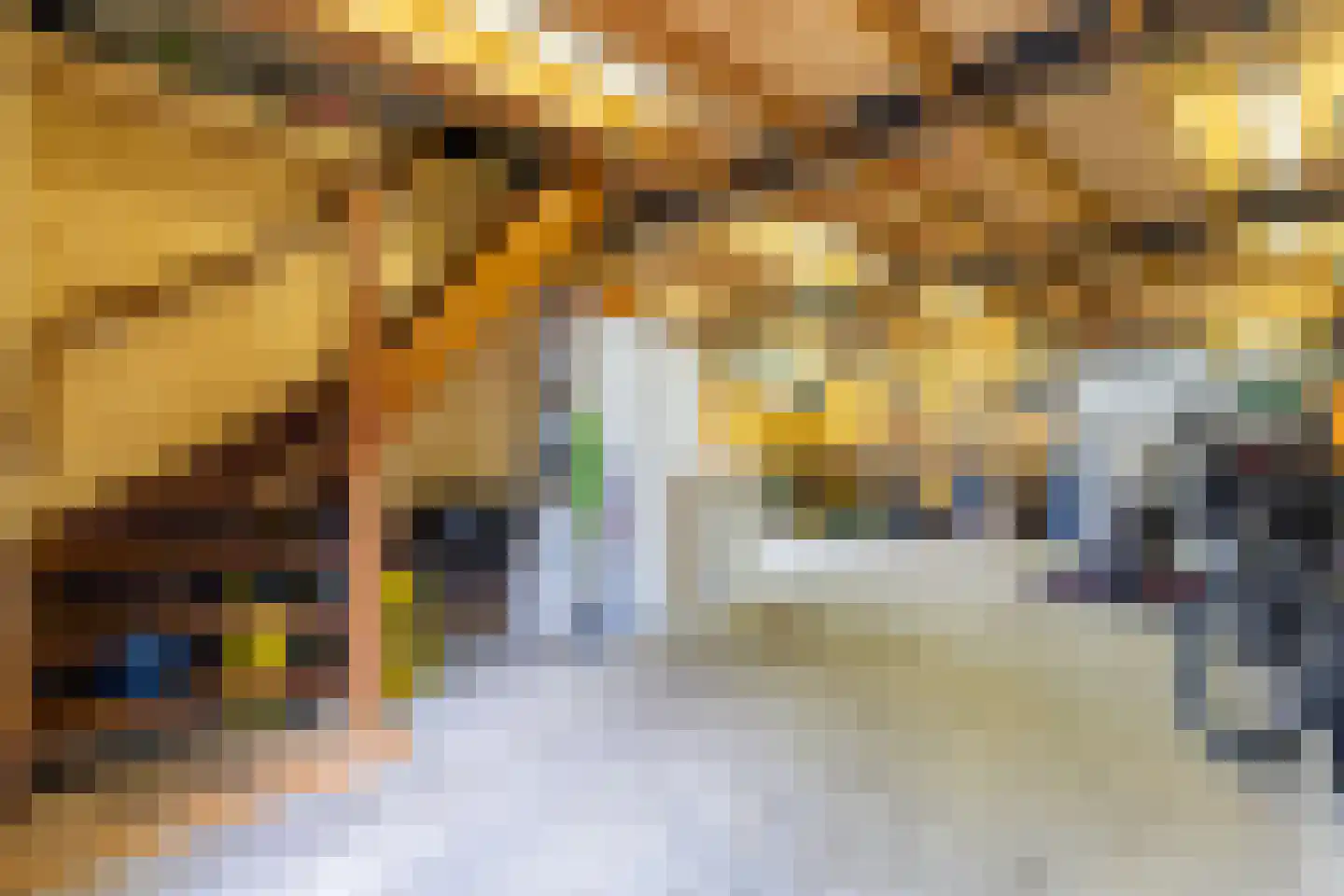 Vlierkamp 21 Hattem thumbnail 34