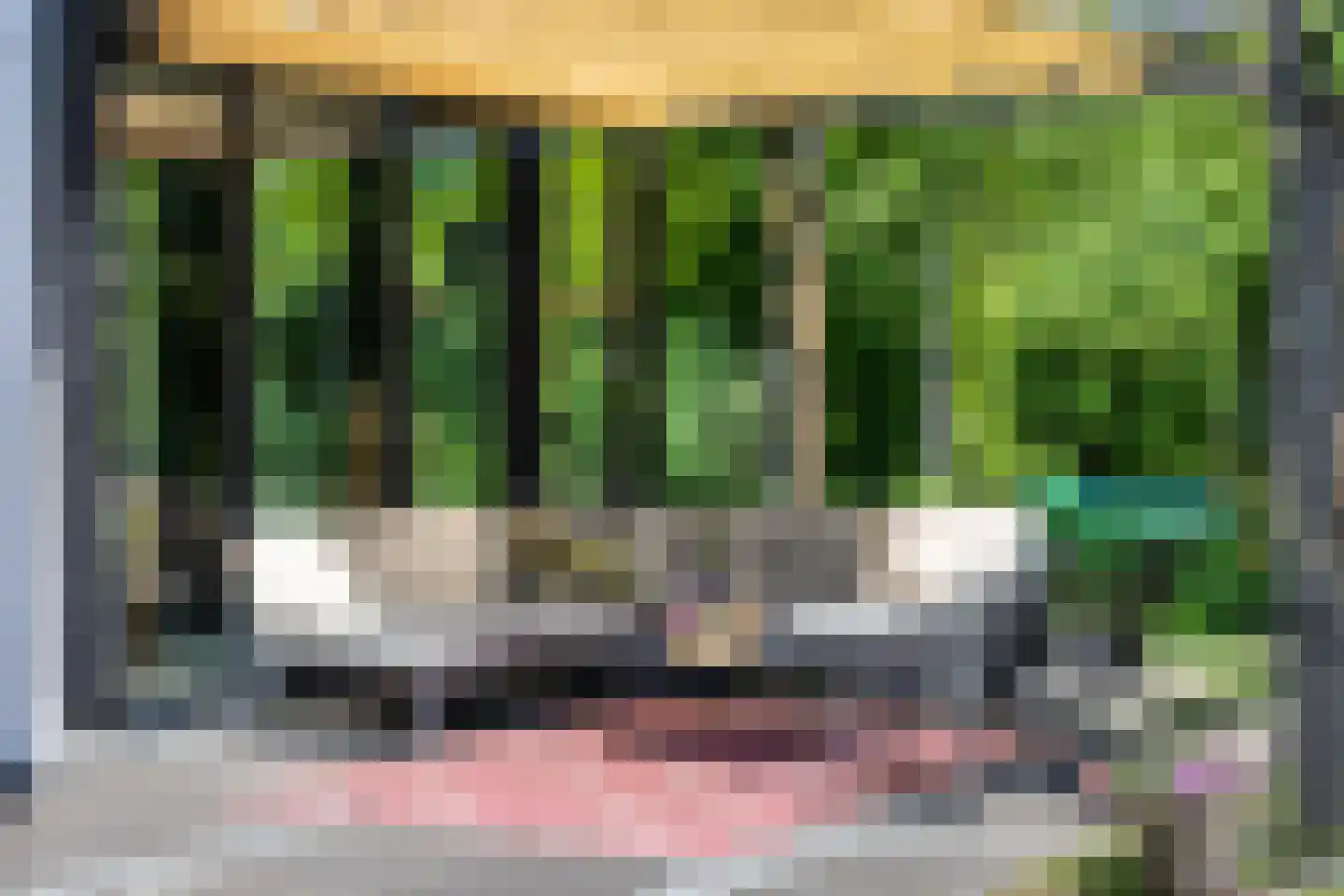 Vlierkamp 21 Hattem thumbnail 38