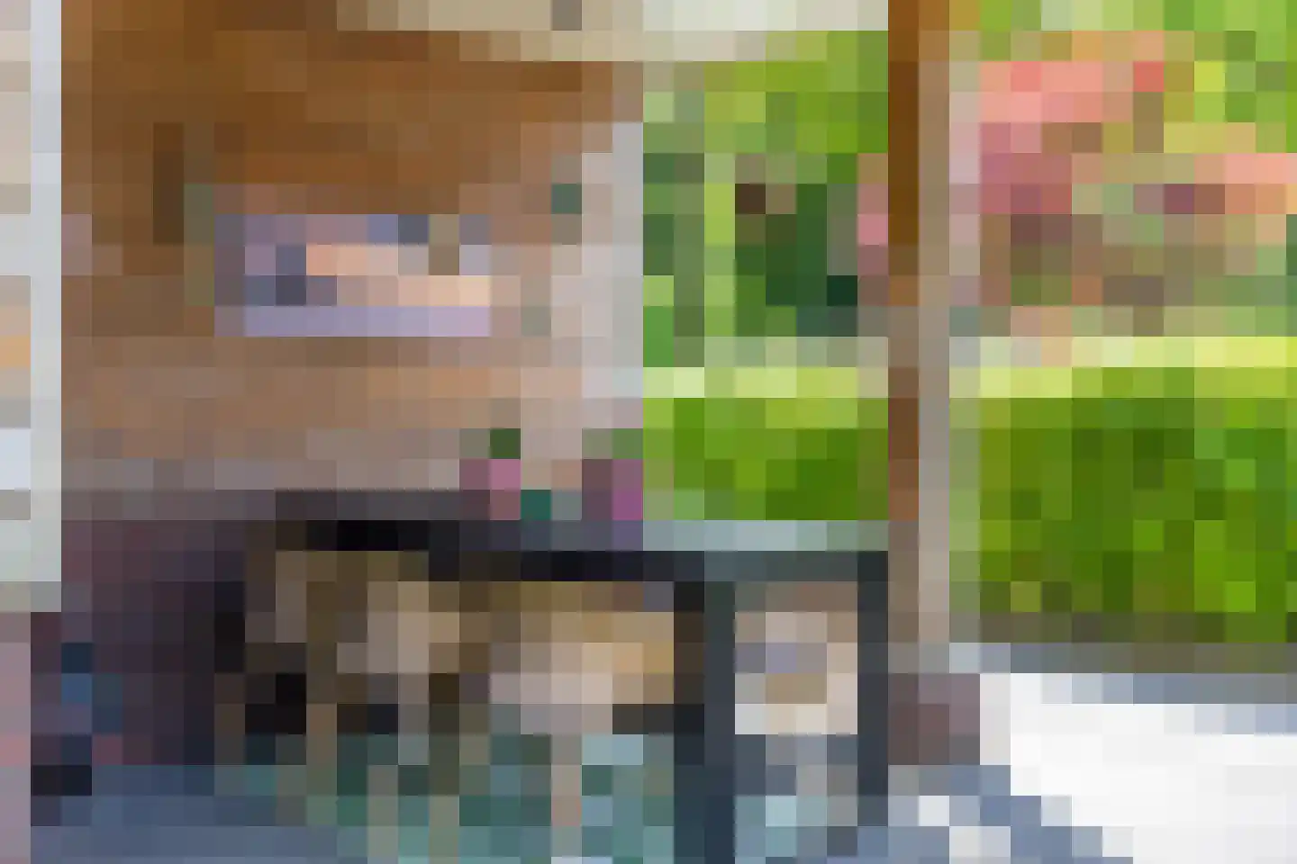 Vlierkamp 21 Hattem thumbnail 41