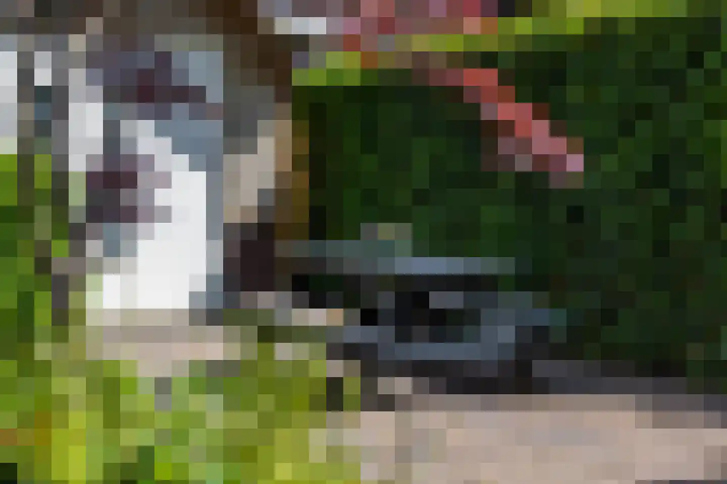 Vlierkamp 21 Hattem thumbnail 43