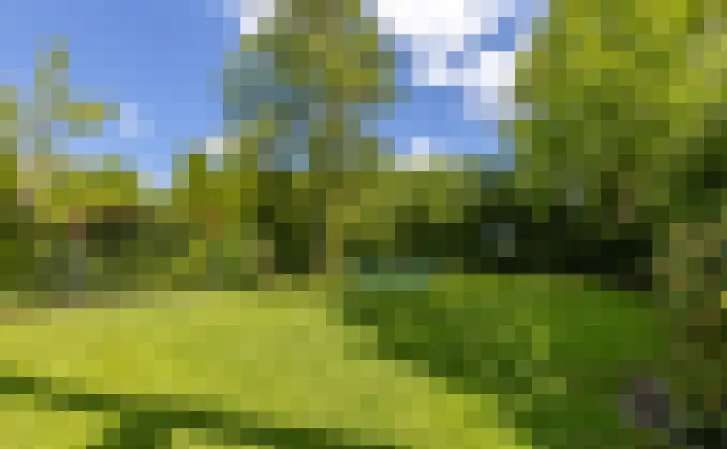 Vlierkamp 21 Hattem thumbnail 44