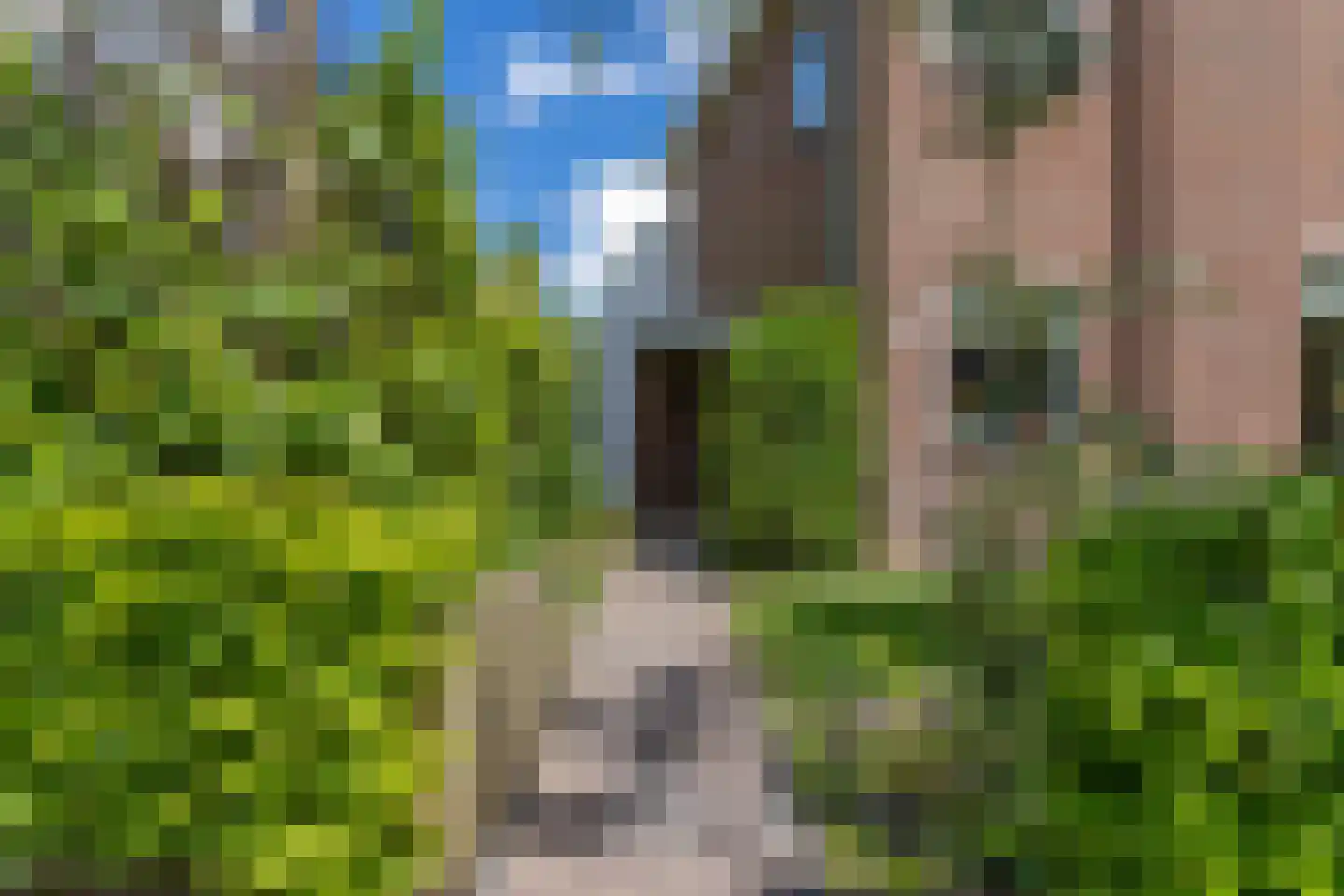 Vlierkamp 21 Hattem thumbnail 45