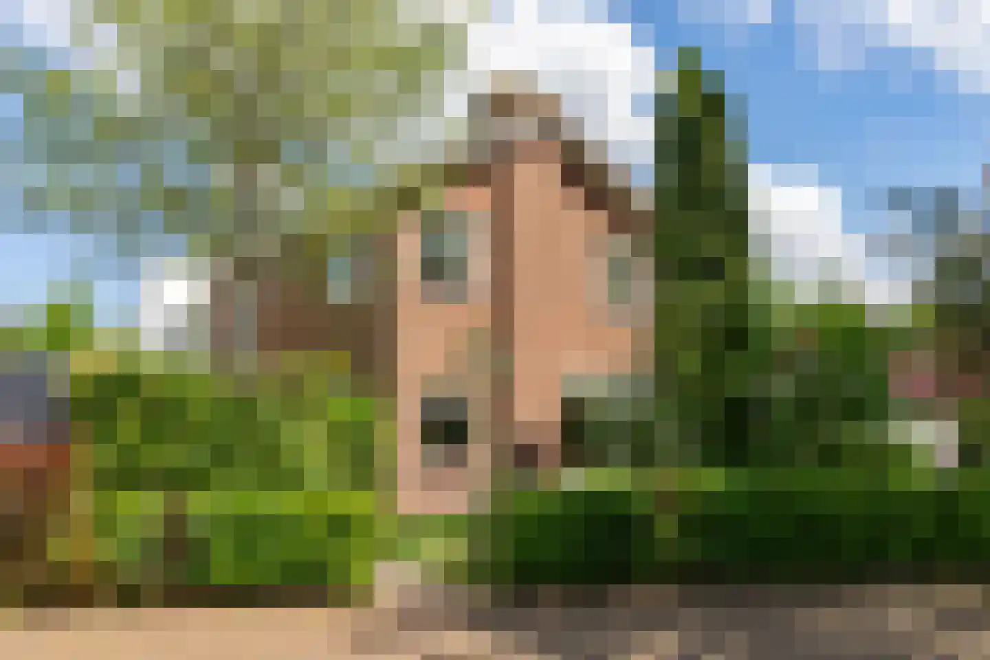 Vlierkamp 21 Hattem thumbnail 48