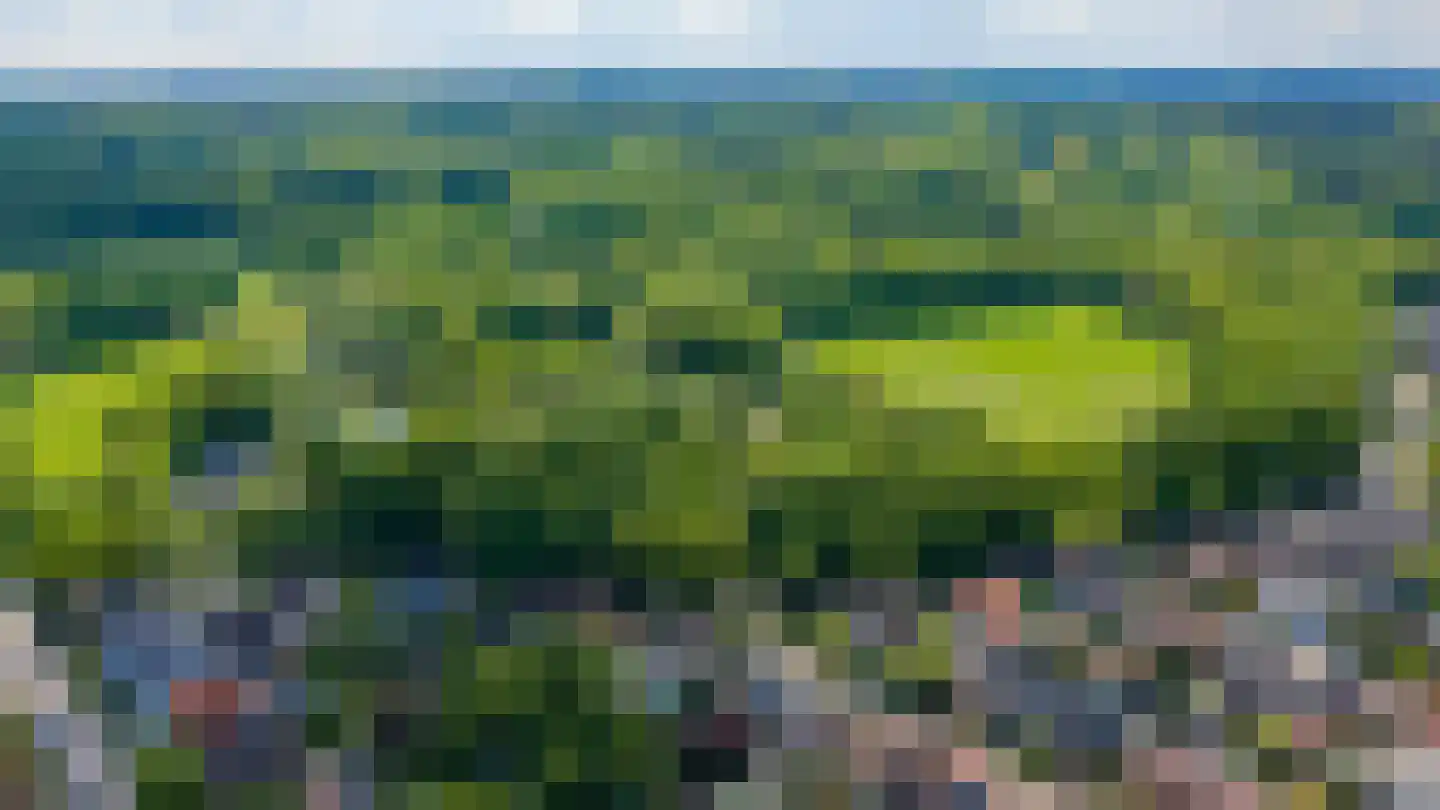 Vlierkamp 21 Hattem thumbnail 52