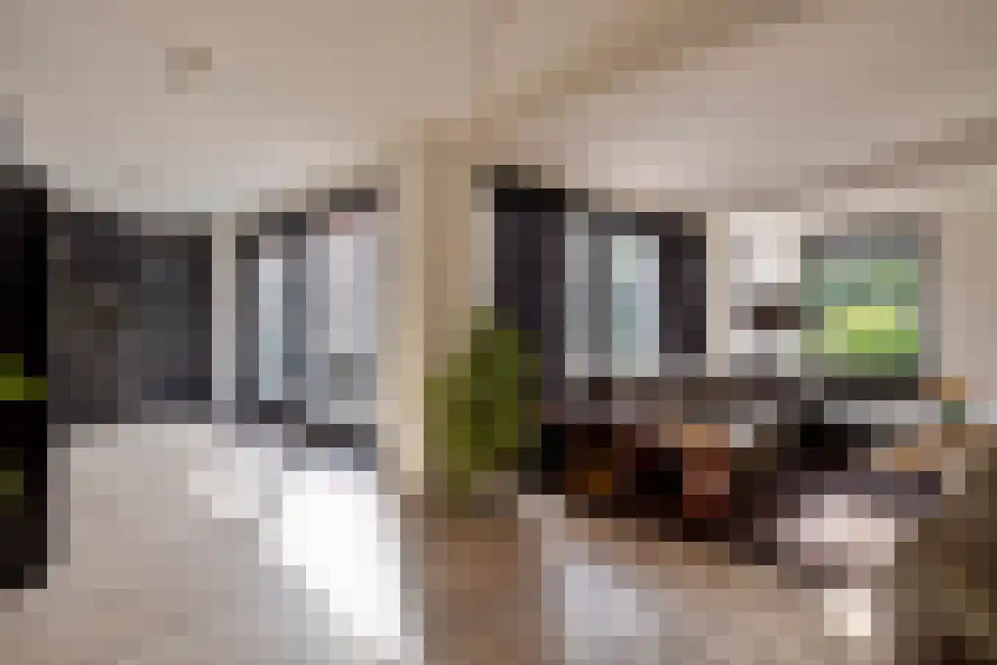 Vlierlaan 122 Oosterhout thumbnail 14