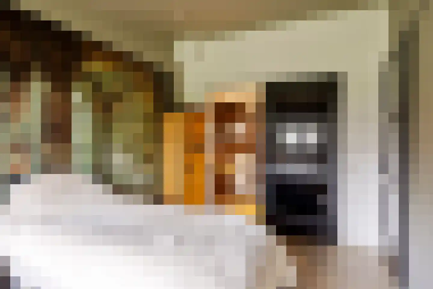 Vlierlaan 122 Oosterhout thumbnail 20