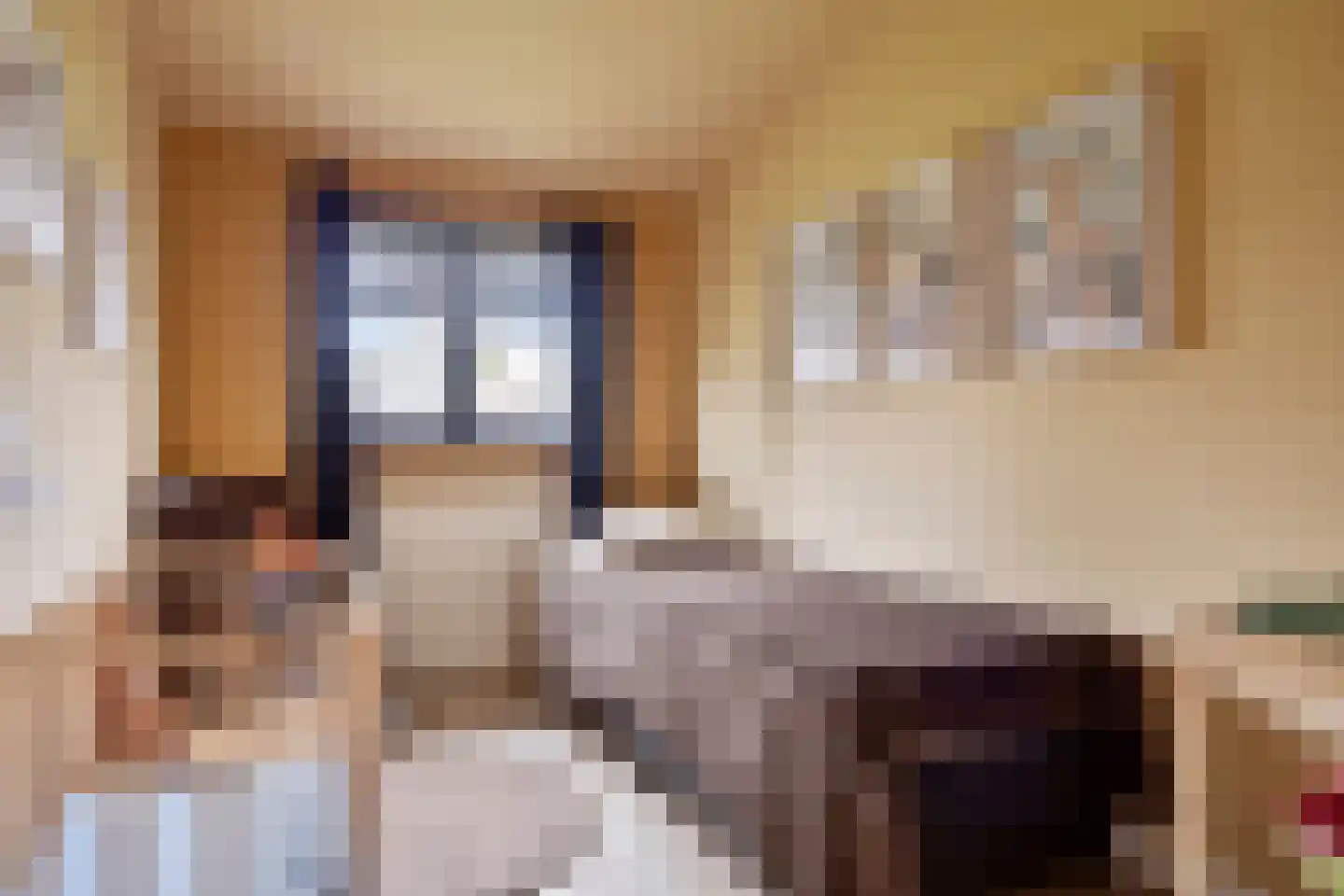 Vlierlaan 122 Oosterhout thumbnail 26