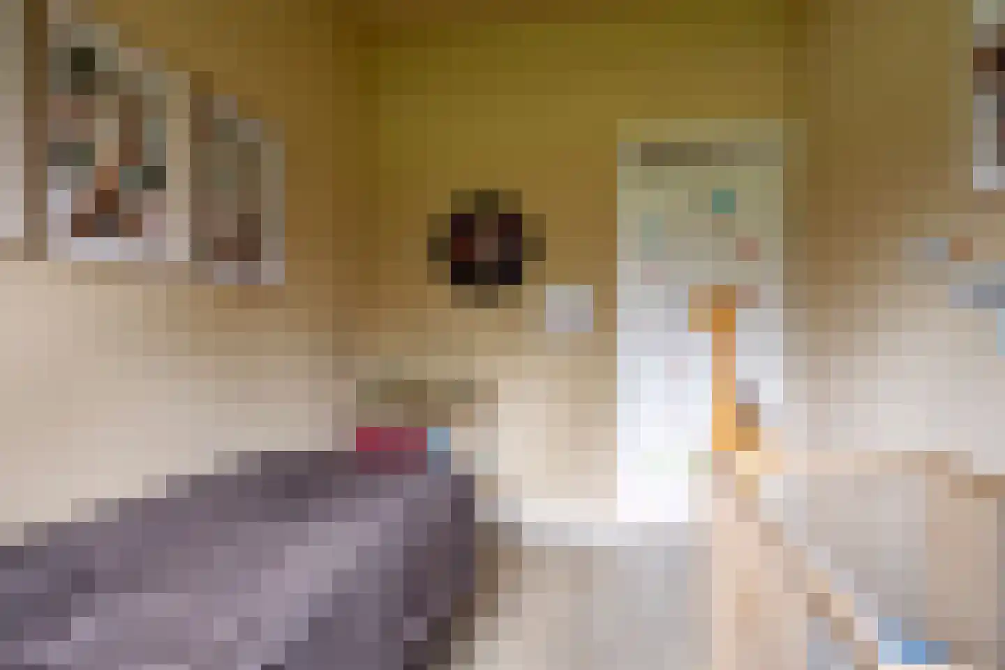 Vlierlaan 122 Oosterhout thumbnail 27