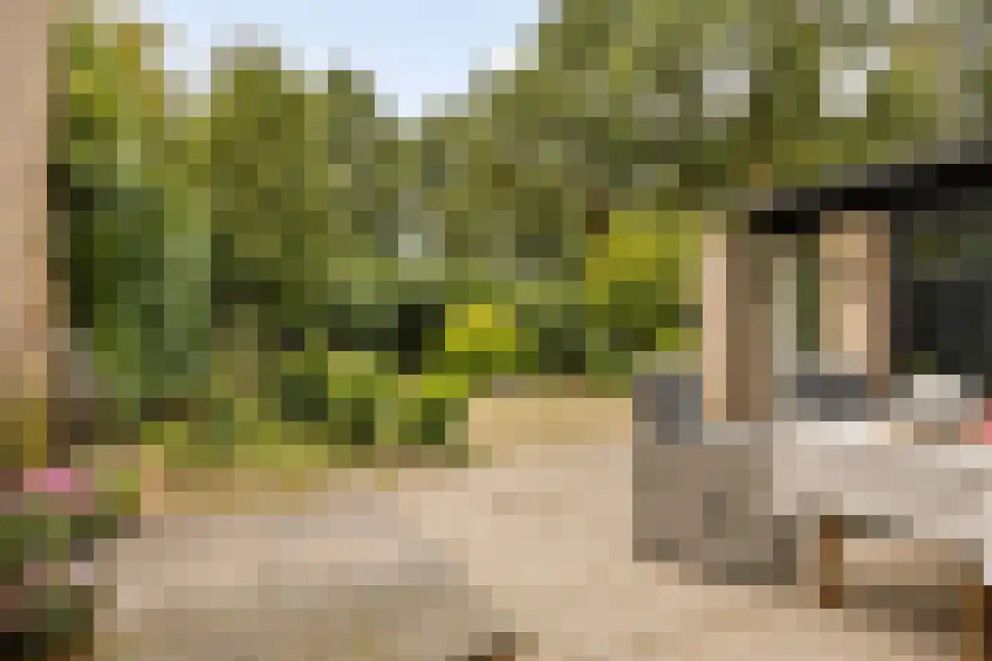 Vlierlaan 122 Oosterhout thumbnail 30