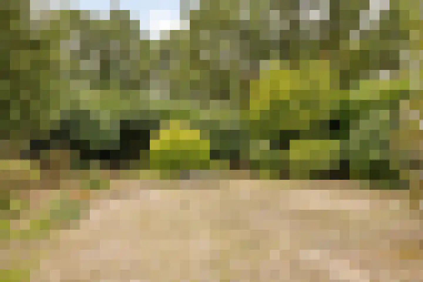 Vlierlaan 122 Oosterhout thumbnail 31