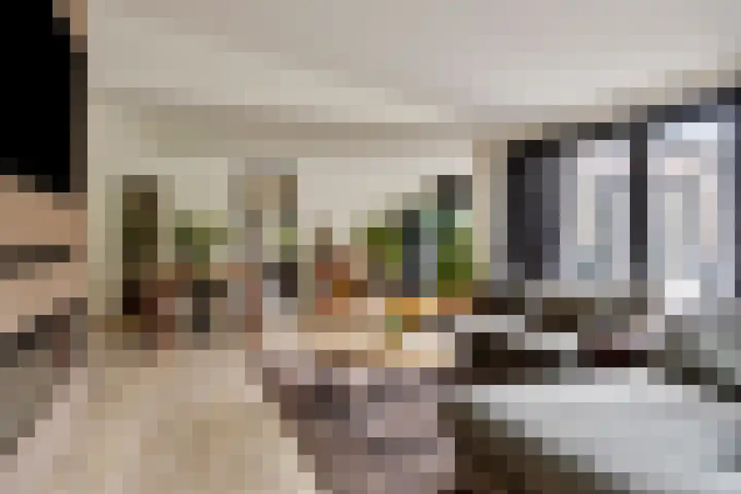 Vlierlaan 122 Oosterhout thumbnail 4