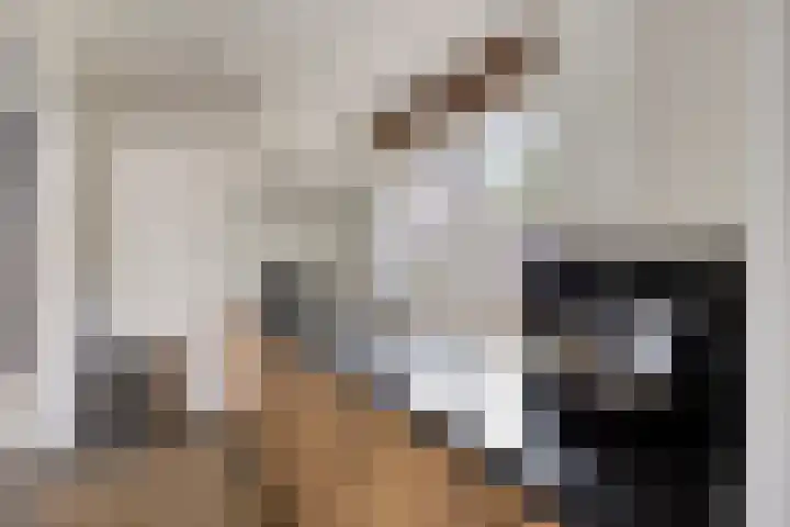 Vlierlaan 144 Oosterhout thumbnail 10