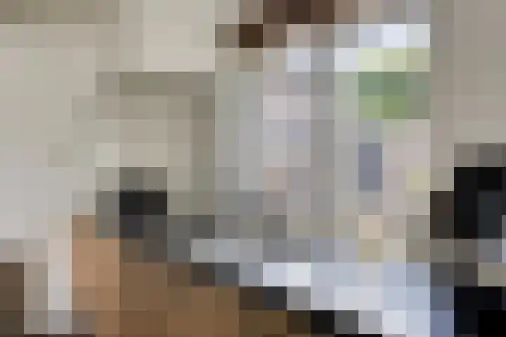 Vlierlaan 144 Oosterhout thumbnail 11