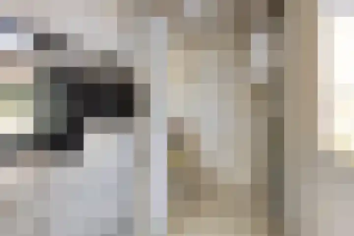Vlierlaan 144 Oosterhout thumbnail 12