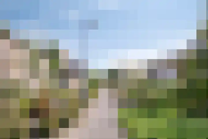 Vlierlaan 144 Oosterhout thumbnail 23