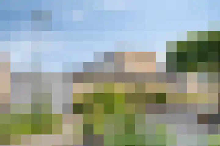 Vlierlaan 144 Oosterhout thumbnail 25