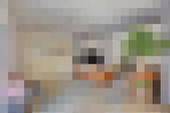 Vlierlaan 144 Oosterhout thumbnail 4