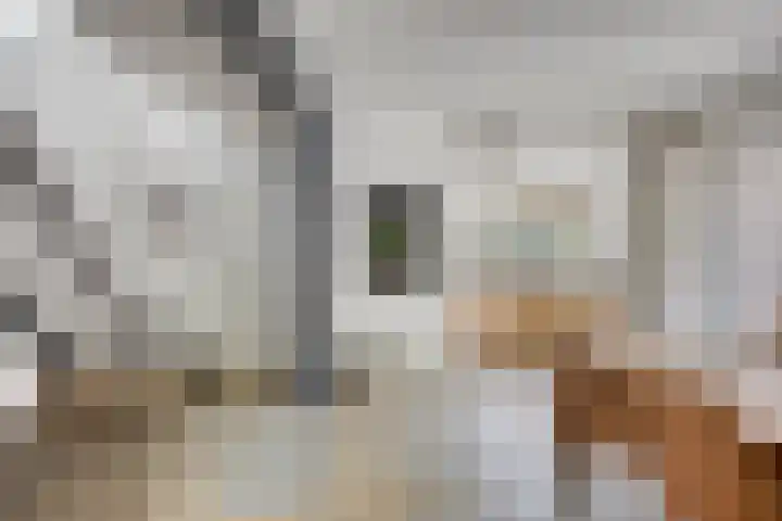 Vlierlaan 144 Oosterhout thumbnail 7