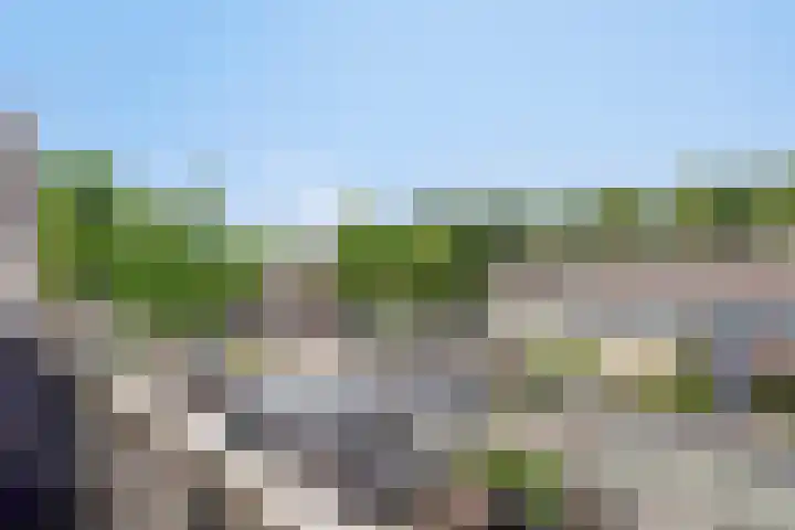 Vlierlaan 18 Oosterhout thumbnail 24