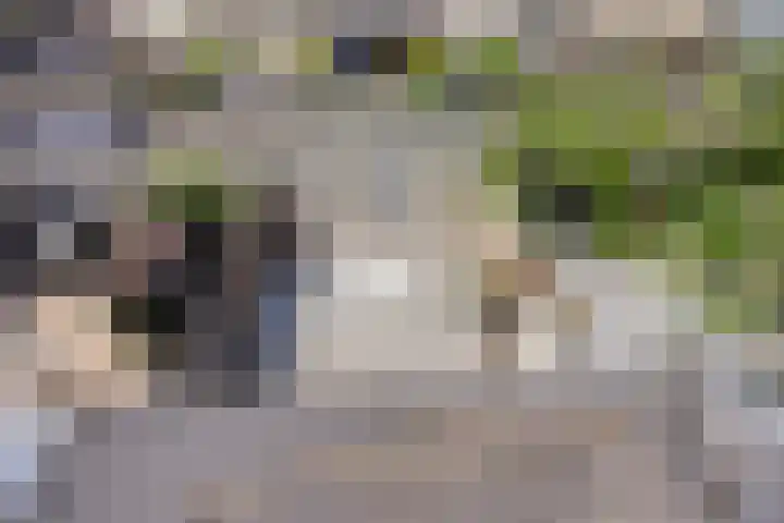 Vlierlaan 18 Oosterhout thumbnail 25