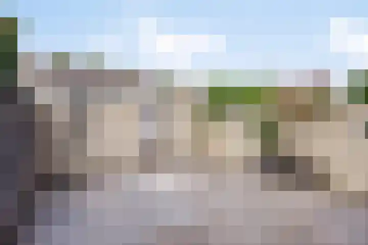 Vlierlaan 18 Oosterhout thumbnail 26
