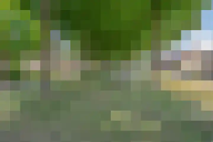 Vlierlaan 18 Oosterhout thumbnail 31