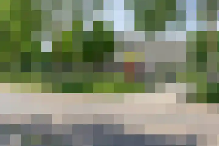 Vlierlaan 18 Oosterhout thumbnail 34