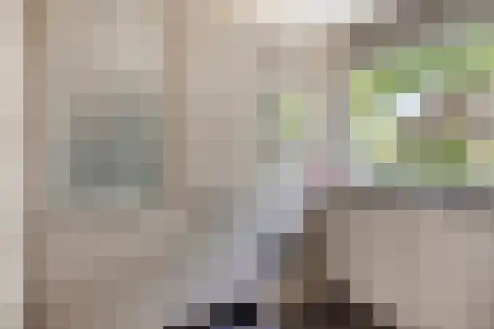 Vlierlaan 18 Oosterhout thumbnail 8