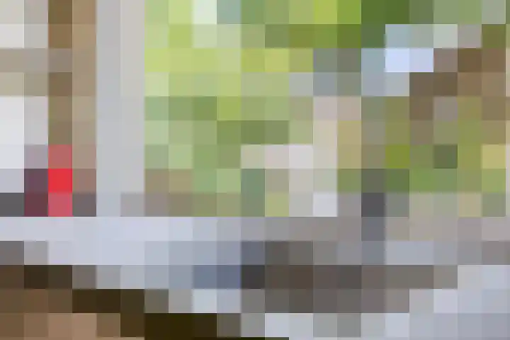 Vlierlaan 18 Oosterhout thumbnail 9