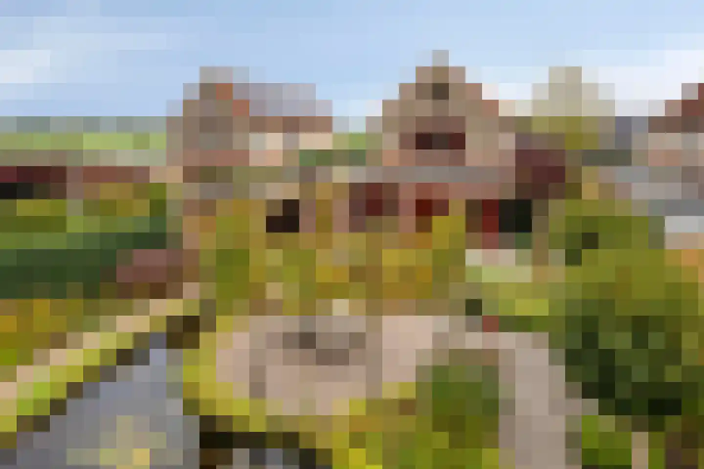 Vlierlaan 29 dans Terheijden