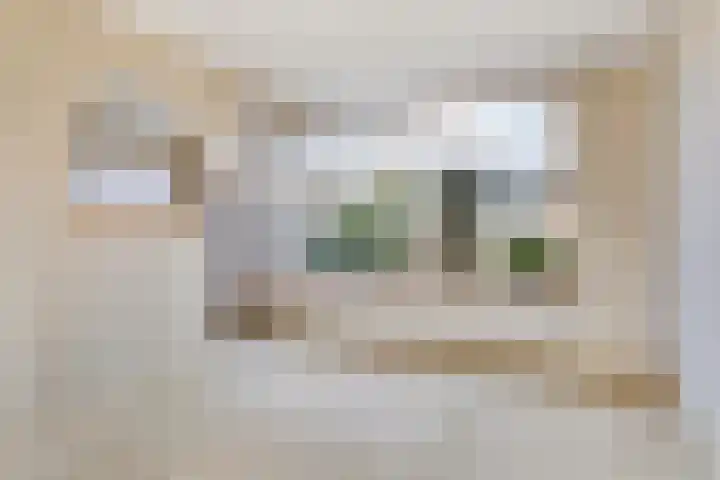 Vlierlaan 29 Oosterhout thumbnail 13