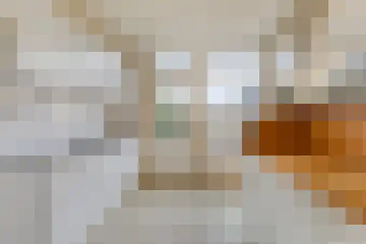 Vlierlaan 29 Oosterhout thumbnail 17