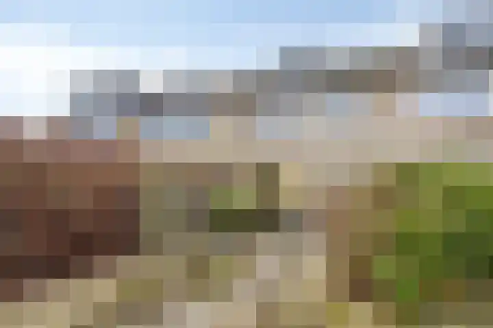 Vlierlaan 29 Oosterhout thumbnail 20