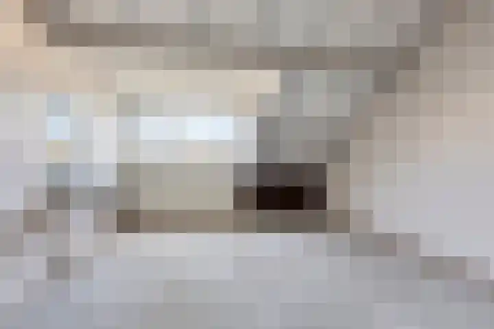 Vlierlaan 29 Oosterhout thumbnail 32