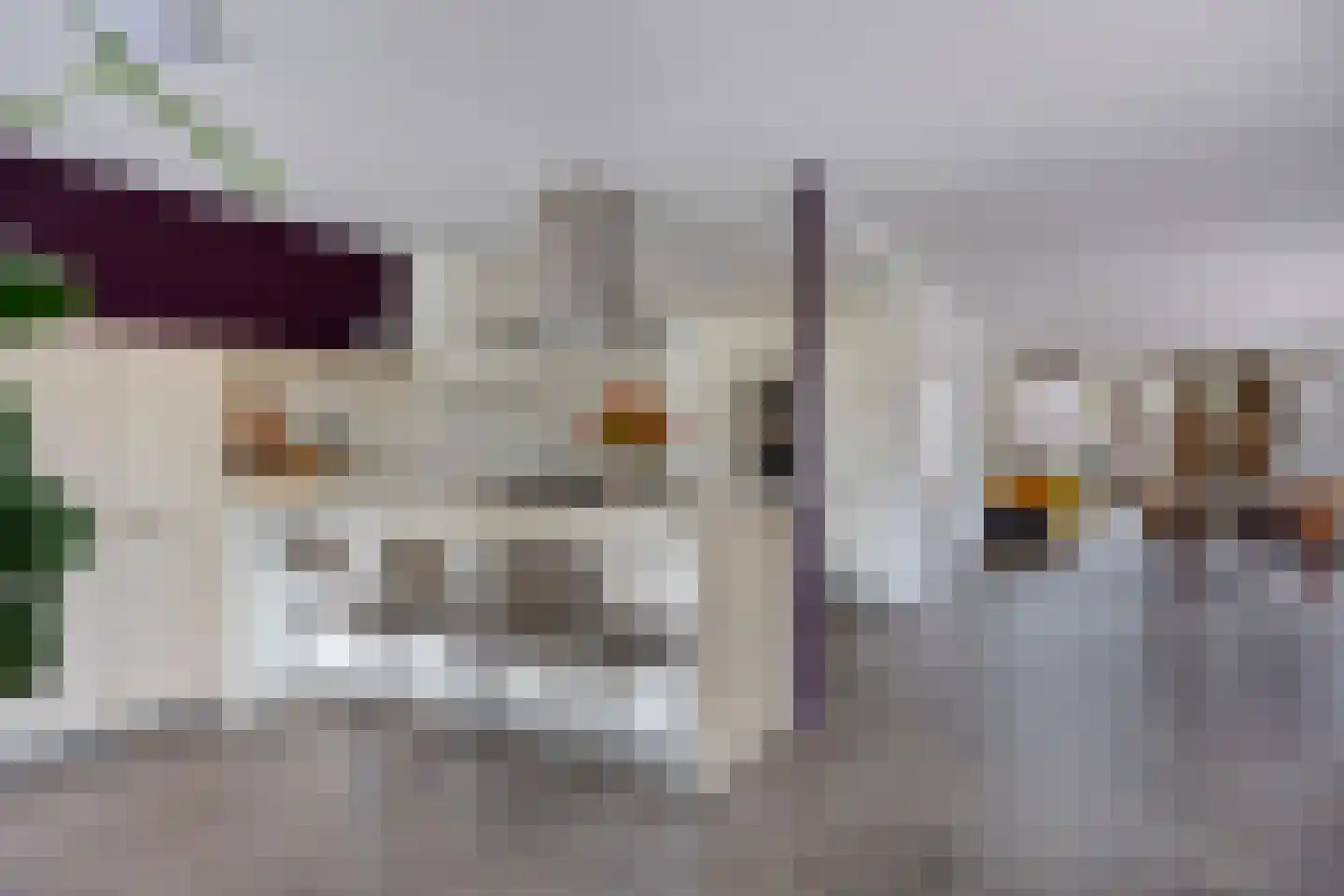 Vlierlaan 29 Terheijden thumbnail 15
