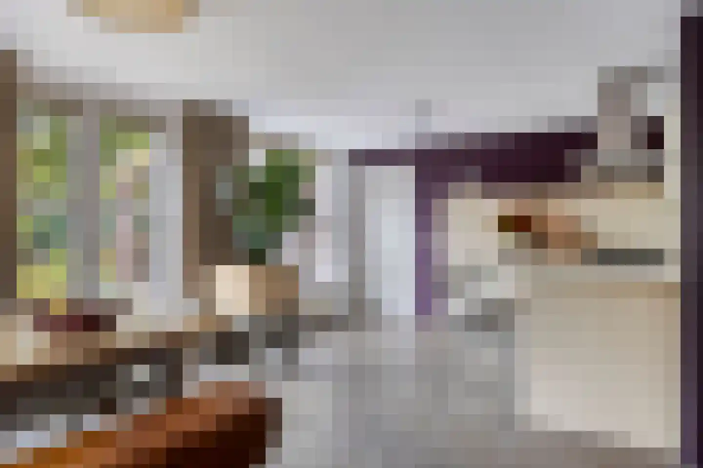 Vlierlaan 29 Terheijden thumbnail 18