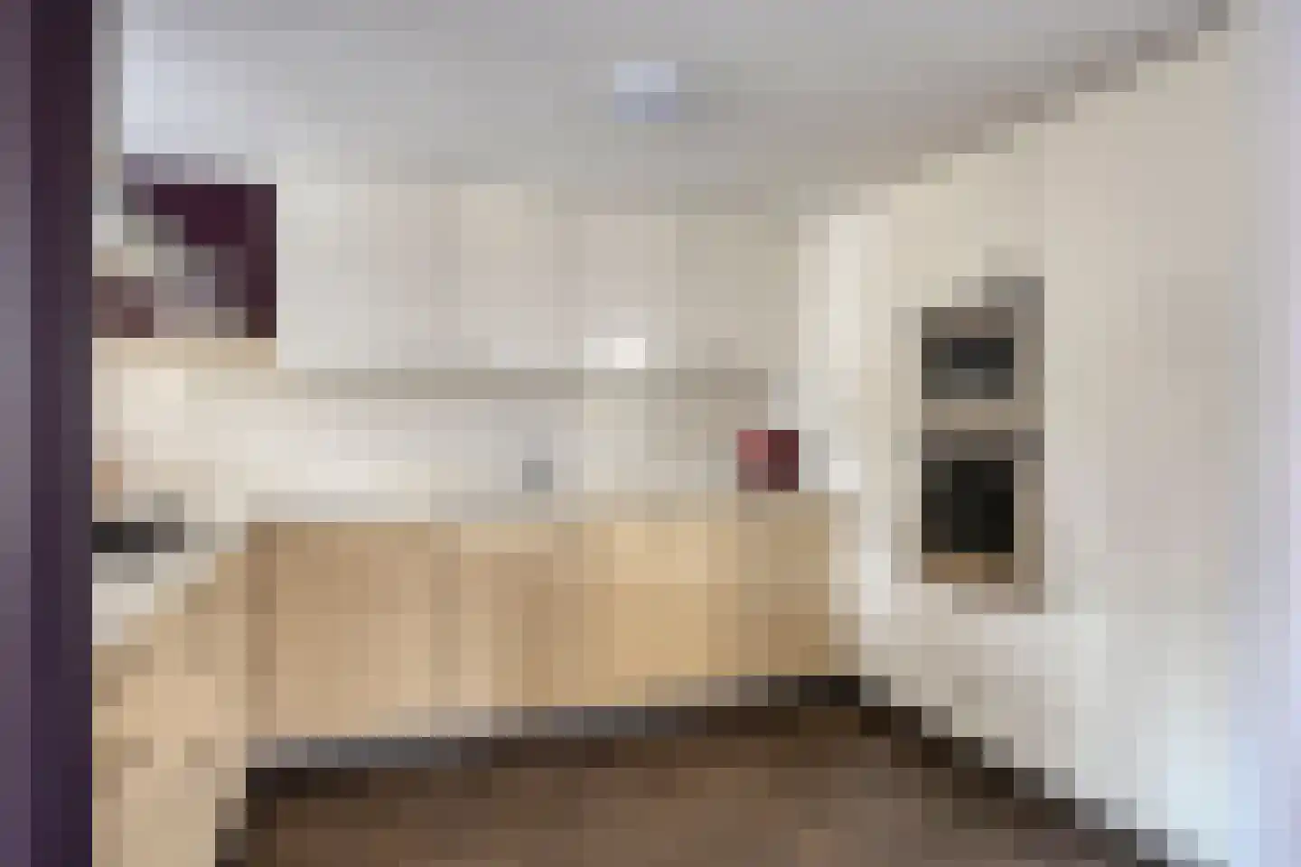 Vlierlaan 29 Terheijden thumbnail 20