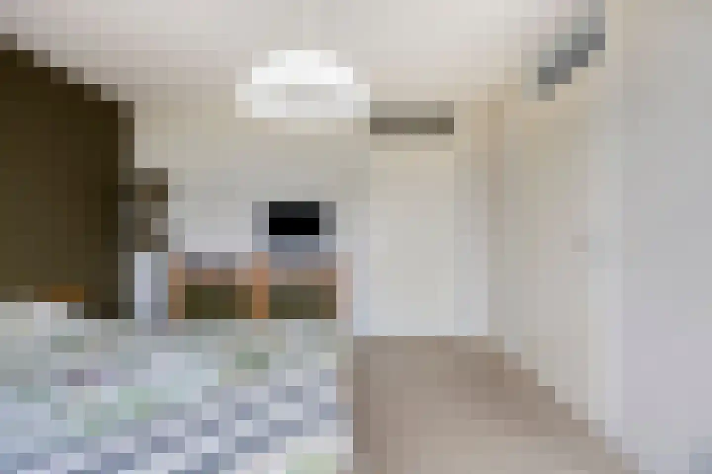 Vlierlaan 29 Terheijden thumbnail 28