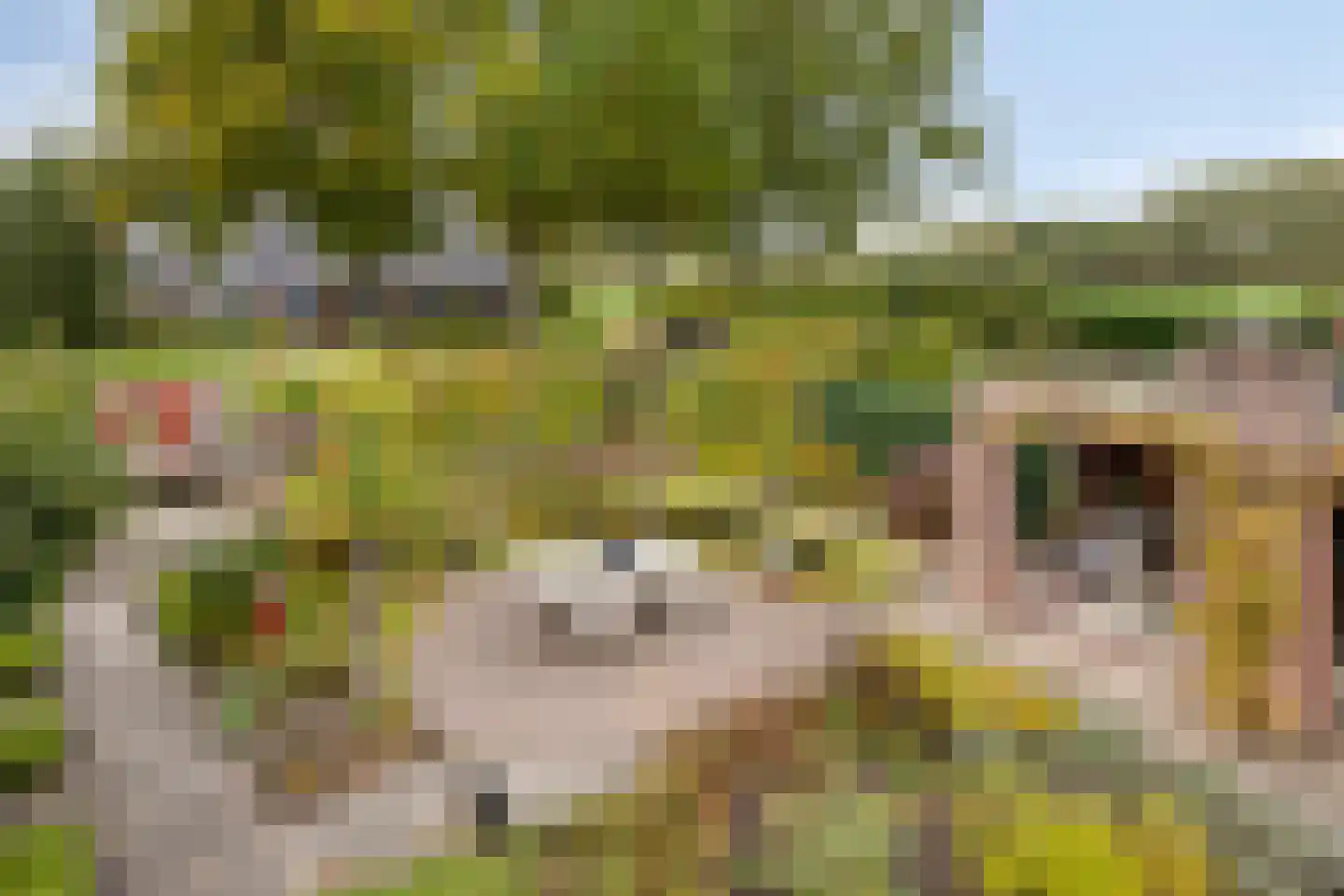 Vlierlaan 29 Terheijden foto 3